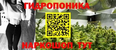 спиды Будённовск