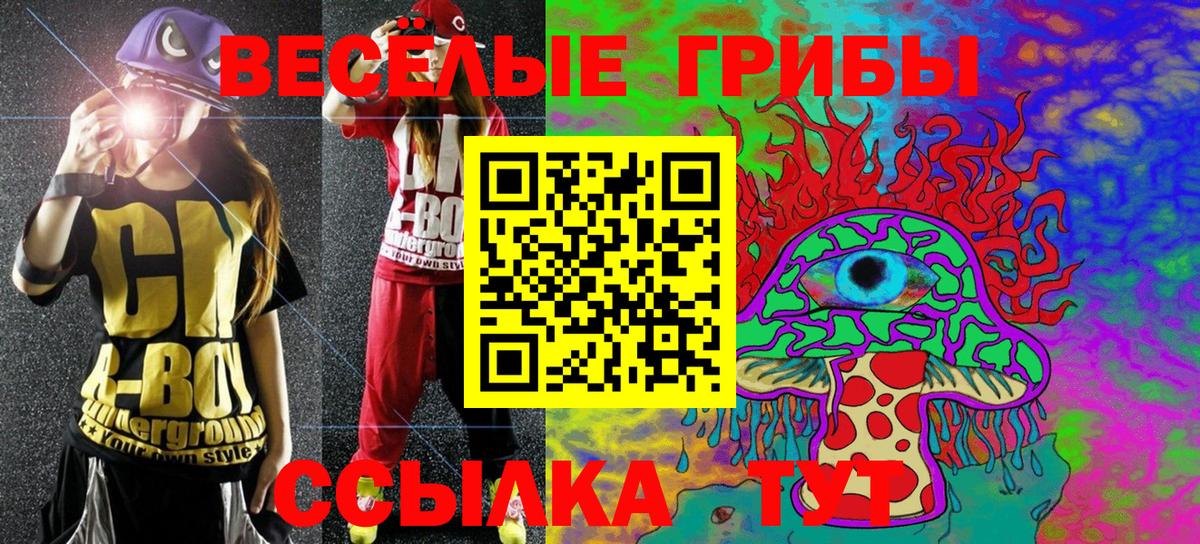 Галлюциногенные грибы Magic Shrooms  Вход с VPN  Псилоцибиновые грибы GOLDEN TEACHER  Шуя 