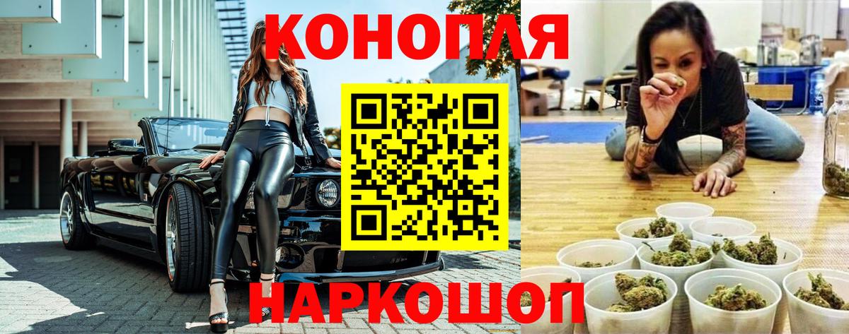 Шишки марихуана планчик  Вход с VPN  Шишки марихуана Amnesia  Конопля индика  Шуя 